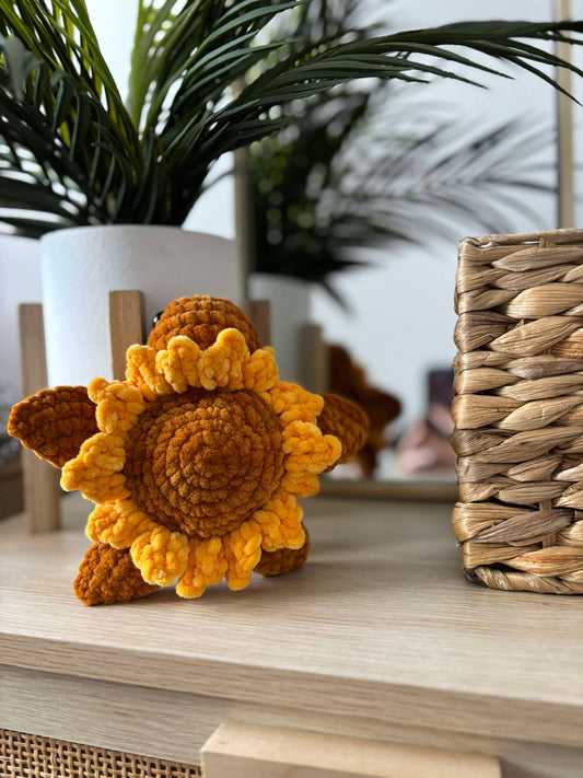 Tortue Tournesol